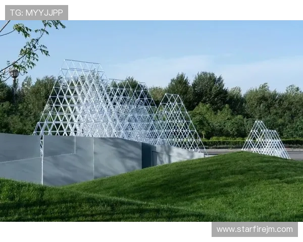 上海极限运动队灵活性研究与实践探索的深度分析与思考