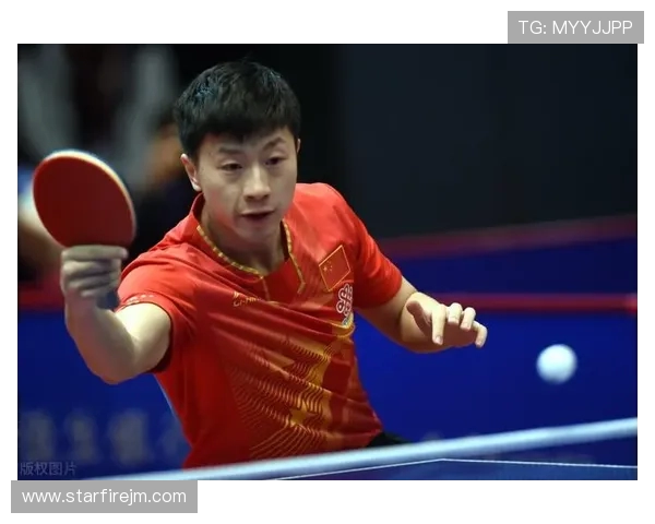 杭州乒乓球队的奋斗历程与辉煌成就总决赛特别报道