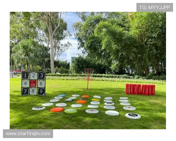 飞盘热潮席卷西安探秘西安飞盘队的拼搏与团结精神